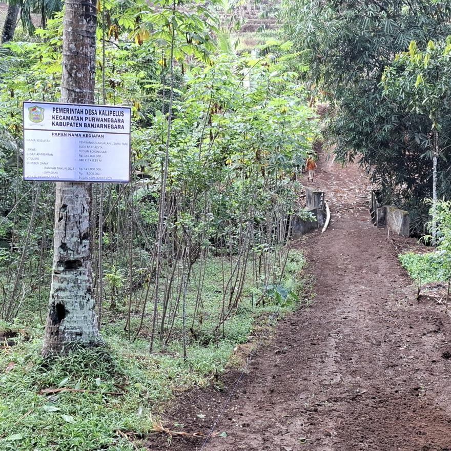PEMBANGUNAN JALAN USAHA TANI BLOK BRADADITA RT 01 RW 04 DUSUN BOJONGSARI DESA KALIPELUS
